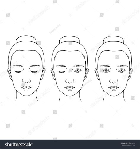 1,416 Contour face chart Images, Stock Photos & Vectors | Shutterstock