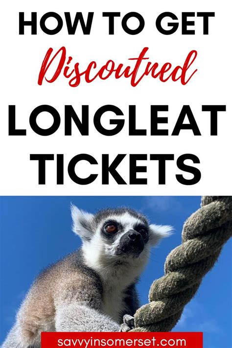 How To Get Cheap & Discounted Longleat Tickets (10 Ways!) - Savvy in Somerset