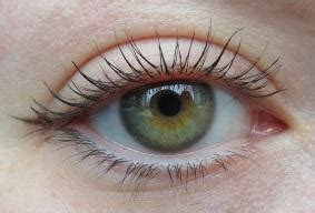 Are my eyes green or hazel? : r/eyes