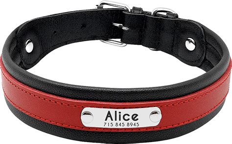 Amazon.com : PET ARTIST Studded Red Leather Dog Collar with Name Plate ...