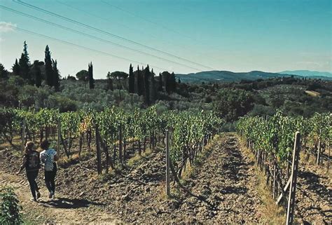 Hiking in Tuscany starting from Florence