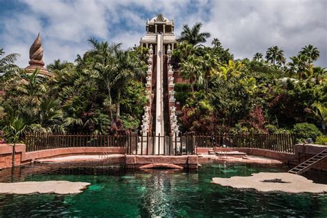 Loro Parque en Siam Park in Tenerife bezoeken? Info, tips & tickets