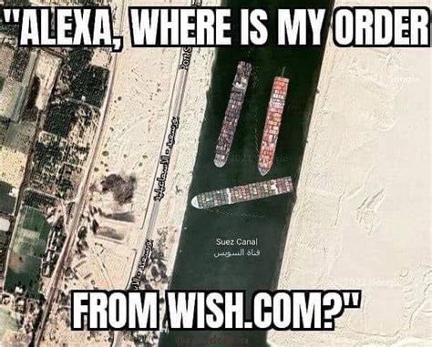 Farmers Share Their Favorite Suez Canal Memes | The Scoop