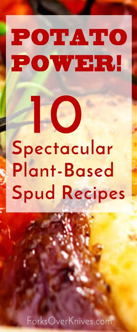 Potato Power: 10 Spectacular Spud Recipes to Supercharge Your Day! - Plant-Based Vegan Recipe