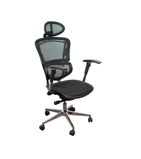 Ultimate Lumbar Support Mesh Chair - ErgoMax Office-