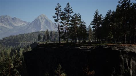 Misty foggy mountain landscape with fir forest 6196369 Stock Video at ...