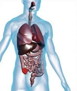 Blast Injuries - RCEMLearning