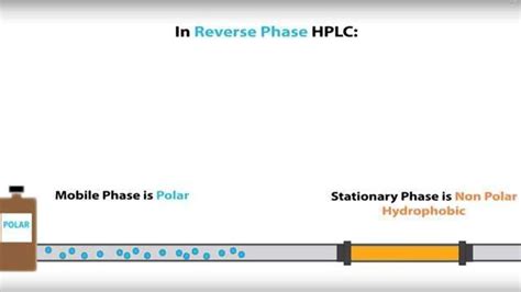 HPLC - Normal Phase vs Reverse Phase | Technology Networks