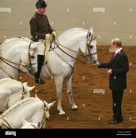 Russian president vladimir putin riding hi-res stock photography and ...