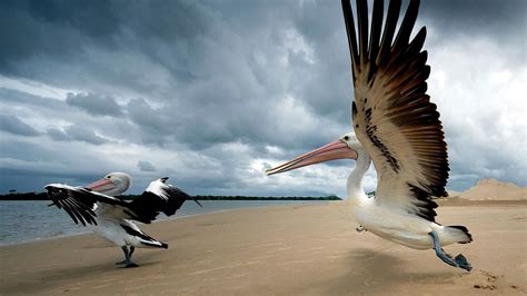 Archipel des Galápagos : séjours, circuits personnalisés en Équateur