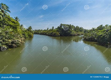 Lagoon Near Negombo, Sri Lanka Stock Photo - Image of lanka, palm: 112590776