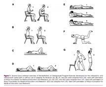 Lumbar compression fracture - Physiopedia | Lower back muscles, Lumbar ...