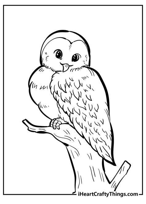 Bird Coloring Pages For Kids Printable