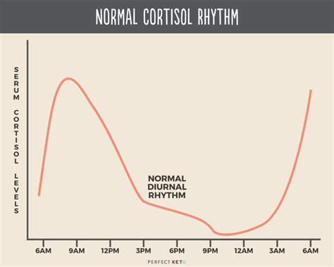 Adrenal Fatigue Morning Cortisol