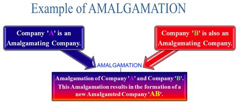 What is Amalgamation? Definition, Meaning and Example