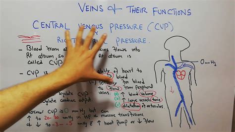 CVS physiology 73. Central venous pressure (CVP), Right atrial pressure ...