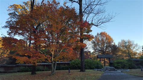 Divers and Sundry: Memphis Botanic Garden in the Fall