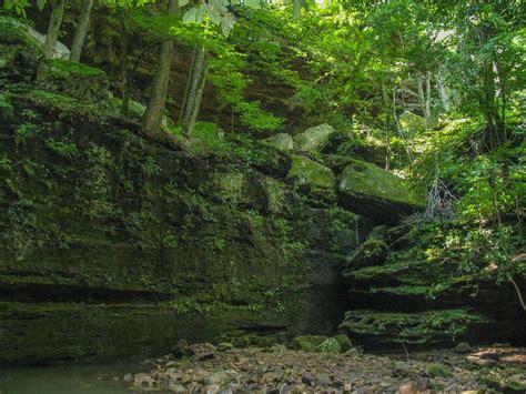 Ferne Clyffe State Park Waterfall Hike - Southern Illinois