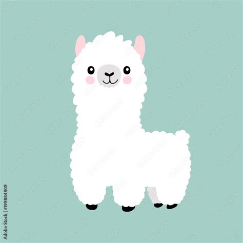 Llama cartoon cute alpaca. Lama animal vector isolated illustration ...