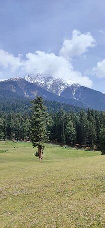 Srinagar Tourism Tour and Travel - All You Need to Know BEFORE You Go