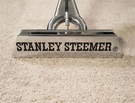 Home & Business Professional Floor Cleaning Services | Stanley Steemer