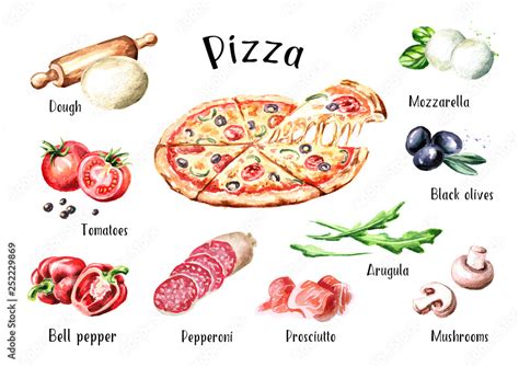 Italian Pizza. Ingredients. Watercolor hand drawn illustration, isolated on white background ...