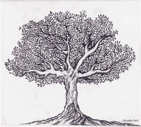 tree of life black and white clipart - Google Search | Tree sketches, Black and white tree, Tree ...