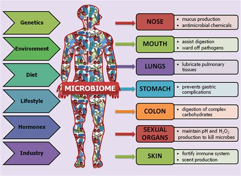 The human microbiome is a treasure trove waiting to be unlocked - Neuroscience News