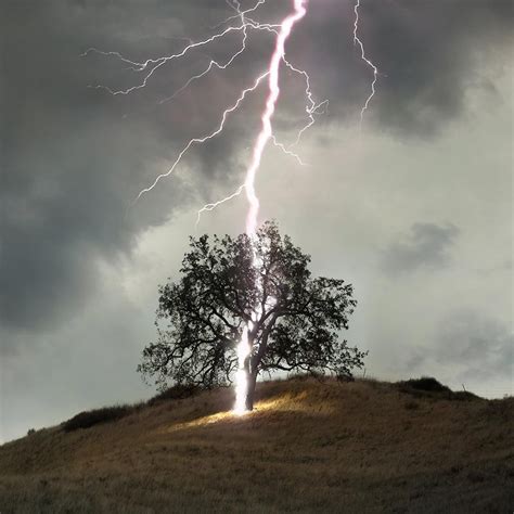 a tree on top of a hill with lightning in the background