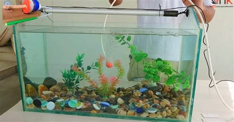 How to Build An Aquarium At Home – DIY | Sia Magazine