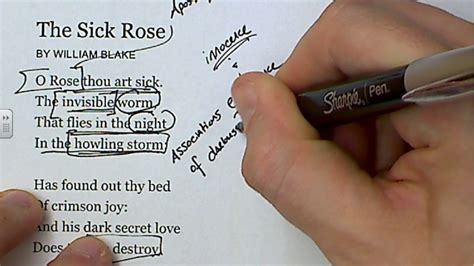 😀 The sick rose william blake analysis. The Sick Rose by William Blake: Summary and Analysis ...