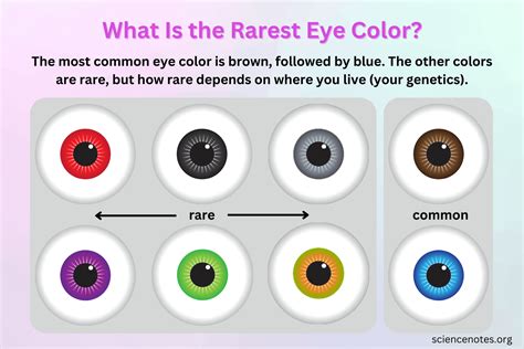 Rare Eye Colors Chart Google Search Eye Color Chart R - vrogue.co