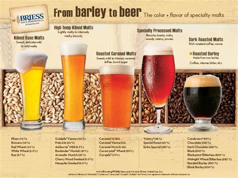A colorful look at the journey of 'barley to beer' - Brewing With Briess