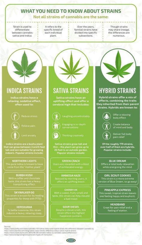 The Best 23 Strain Sativa Vs Indica Chart - greatbasestock