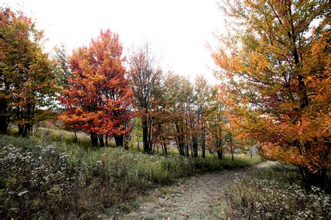 029A4923 | Canaan Valley Resort WV | Bang Nguyen | Flickr