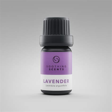 Lavender oil [5ml] - Soothing Scents