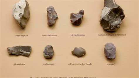 Neanderthal Tools | AMNH