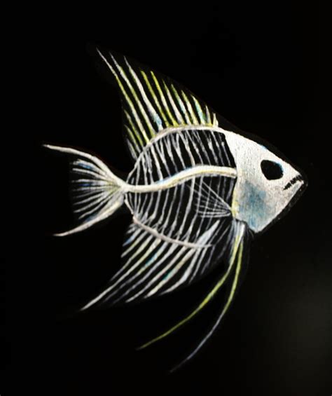 Fish skeleton. by Bridgette-art on DeviantArt