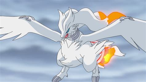 Reshiram (anime) | Pokémon Wiki | FANDOM powered by Wikia