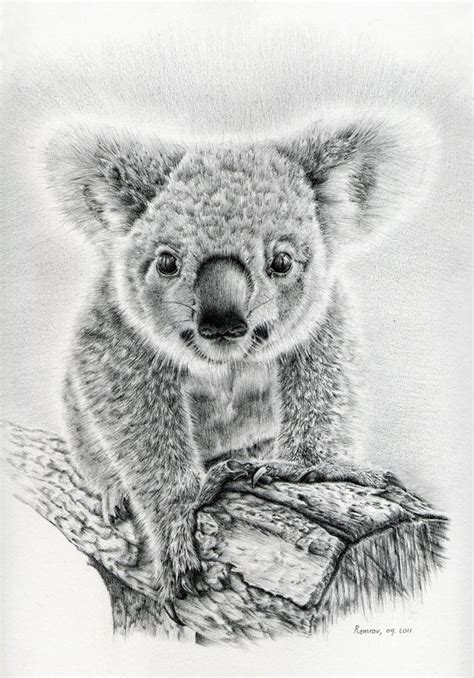 Remrov's Autistic Artblurbs: Koala Art, a project to help koalas