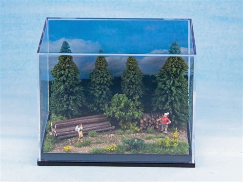 Diorama & 6 Cm Showcase Hearty Forest Walk - Etsy