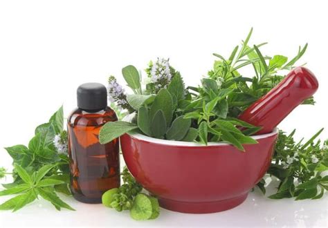 Natural Remedies For Hot Flashes | Biophytopharm