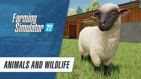 Видео Animals & Wildlife in Farming Simulator 22, Farming Simulator 22