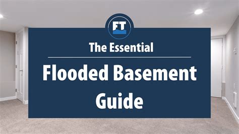 The Essential Flooded Basement Guide - The Flood Team