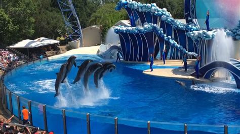 SeaWorld Making Changes to Dolphin Shows