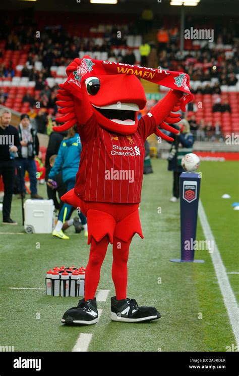 Mighty red mascot of liverpool fc hi-res stock photography and images - Alamy