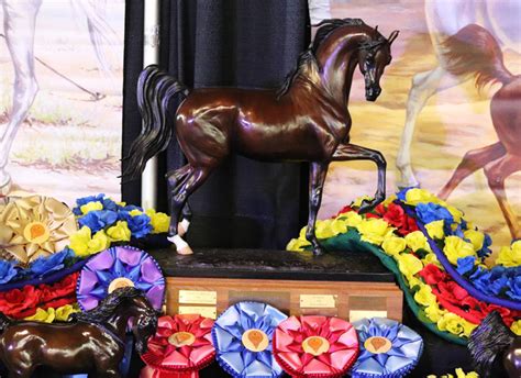 Arabian National Breeder Finals - Arabian Horse Times