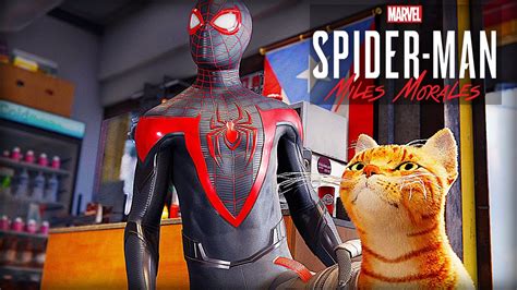 SPIDER CAT Mission - Spider-Man Miles Morales (PS5) - YouTube