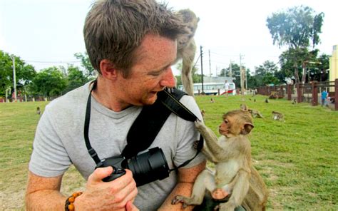 Visitng the Loburi Monkey Temple in Thailand - The Travel Blogs