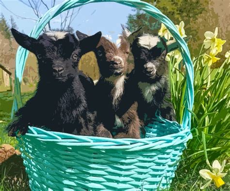 33 TEAT-ally Awesome Goat Gifts For Farmers And People Who Really Love ...